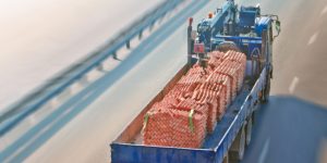 What Sets Our Material Transportation Services Apart?